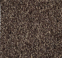 Ковролин AW Loop Loop 2435 фото 1 | FLOORDEALER